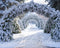 Kate Givré Arche de pin Hiver Noël Toile de fond conçue par Mini MakeBelieve - Kate Backdrop FR