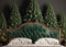 Kate Hiver Pin Tête de lit Toile de fond conçue par Mandy Ringe - Kate Backdrop FR