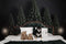 Kate Hiver Pin Tête de lit Toile de fond conçue par Mandy Ringe - Kate Backdrop FR