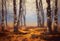 Kate Forêt Flou Arbres Jaune Toile de fond Conçu par Chain Photographie - Kate Backdrop FR