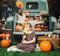 Kate Automne Citrouille Voiture Toile de fond pour la photographie - Kate Backdrop FR