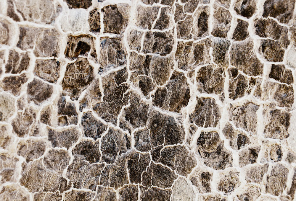 Kate Texture Pierre Gris Sol Mur Toile de fond pour la photographie - Kate Backdrop FR
