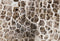 Kate Texture Pierre Gris Sol Mur Toile de fond pour la photographie - Kate Backdrop FR