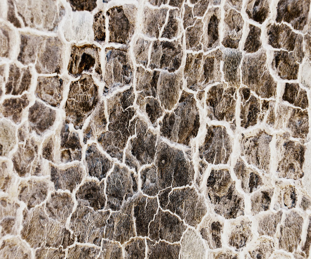 Kate Texture Pierre Gris Sol Mur Toile de fond pour la photographie - Kate Backdrop FR