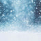 Kate Hiver Neige Bokeh Toile de fond Conçu par Chain Photographie - Kate Backdrop FR