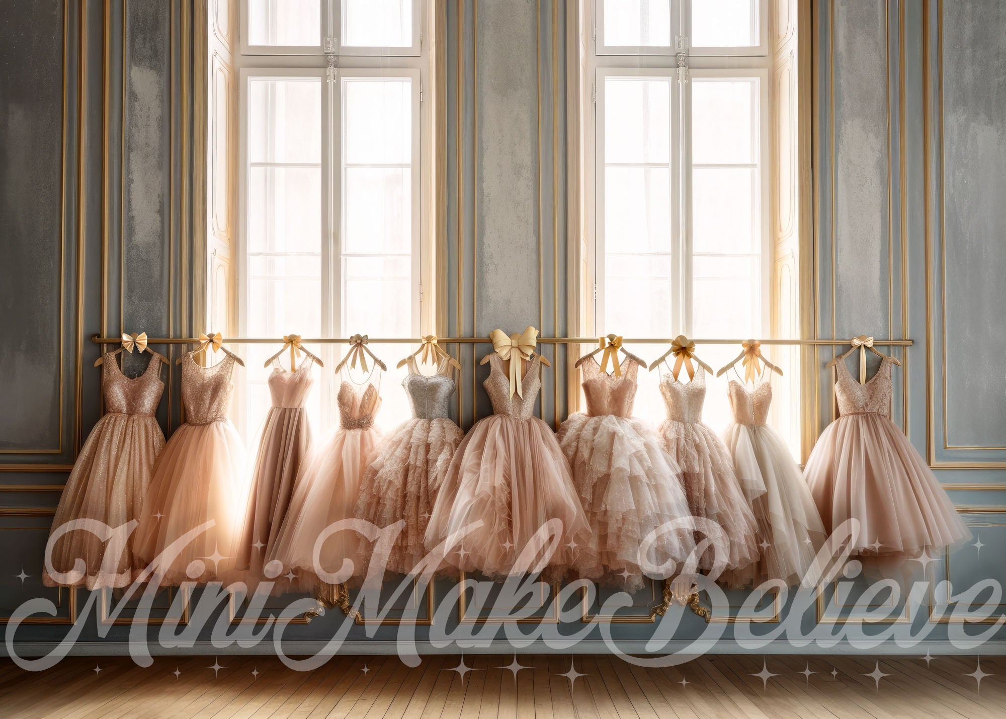 Kate Valentin Robes de ballet Studio Toile de fond conçue par Mini MakeBelieve - Kate Backdrop FR
