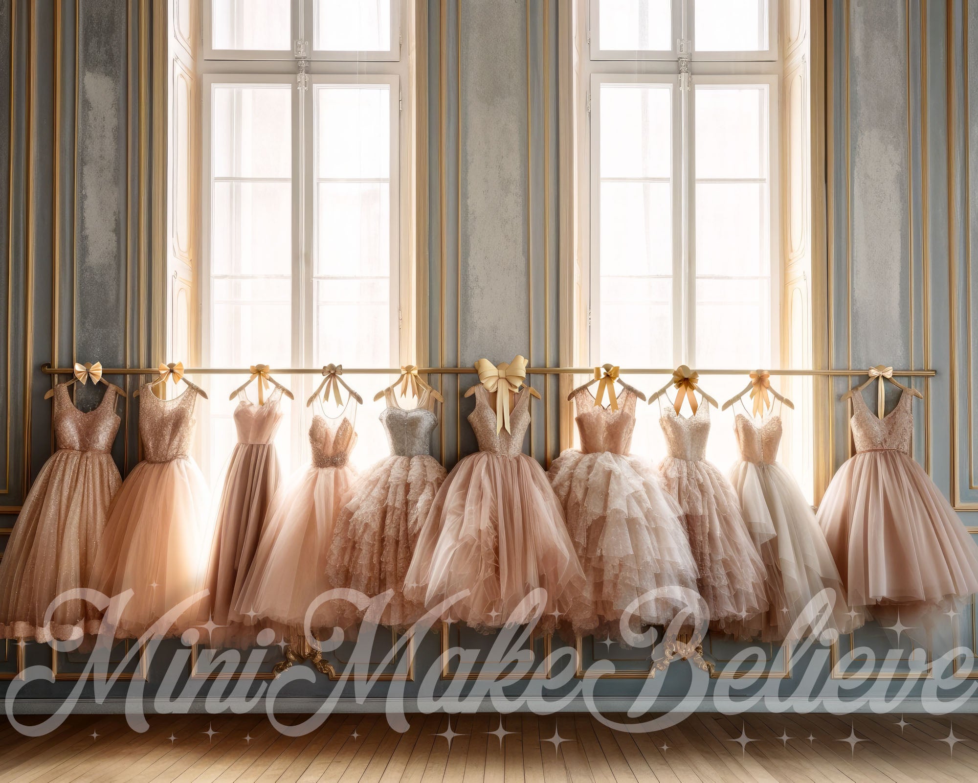 Kate Valentin Robes de ballet Studio Toile de fond conçue par Mini MakeBelieve - Kate Backdrop FR