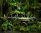 Kate Jeep Vert Jungle Toile de fond Conçu par Patty Robert - Kate Backdrop FR