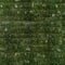 Kate Vert Mur de briques Sol Mousse Toile de fond pour la photographie - Kate Backdrop FR