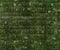 Kate Vert Mur de briques Sol Mousse Toile de fond pour la photographie - Kate Backdrop FR