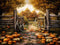 Kate Portail Champ de Citrouilles Route Toile de fond conçue par Rose Abbas - Kate Backdrop FR