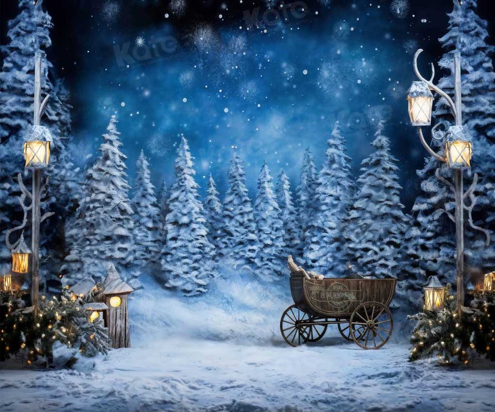 Kate Hiver Bleu Lampadaire Nuit Neige Toile de fond pour la photographie - Kate Backdrop FR