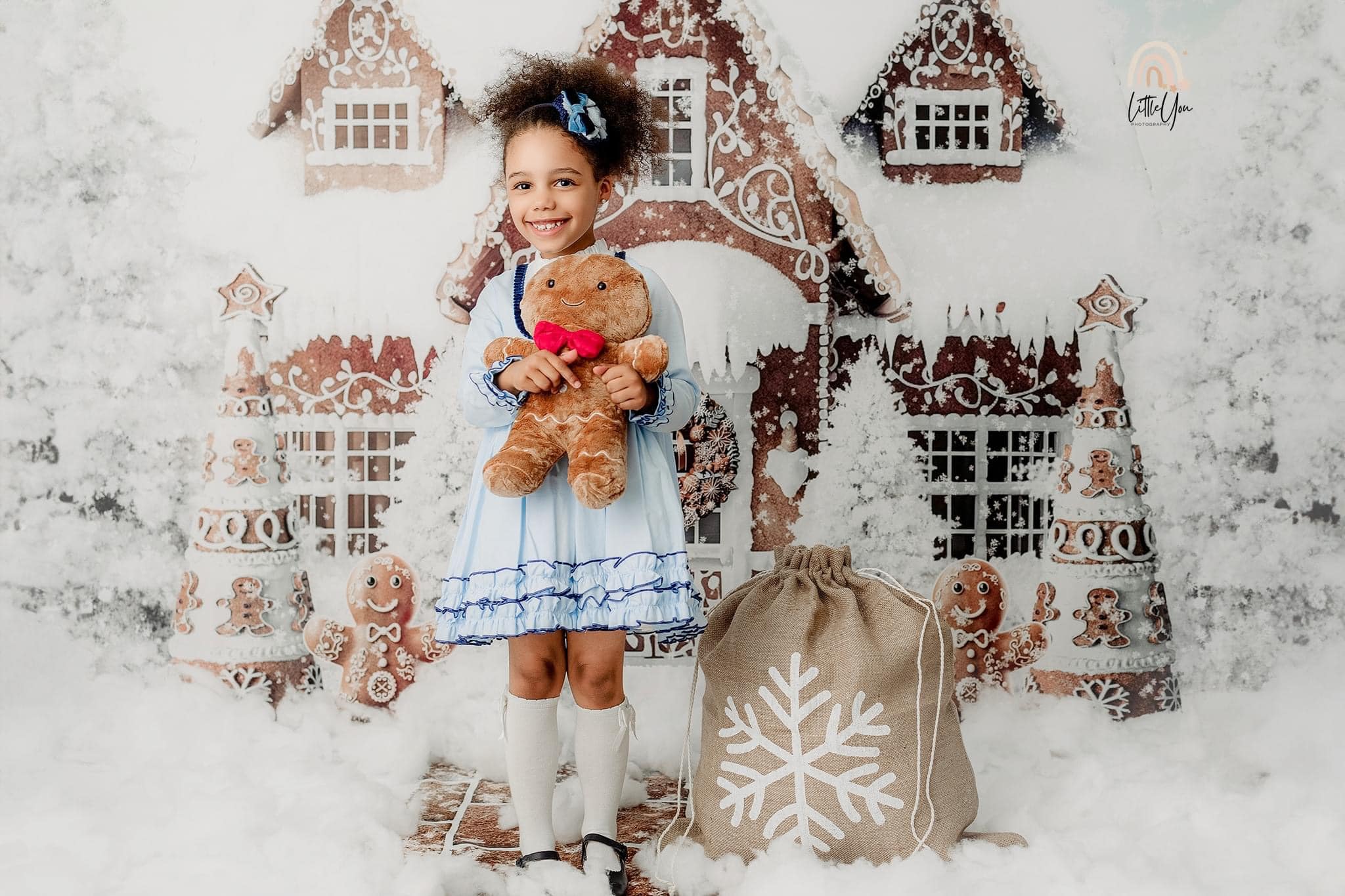 Kate Noël Hiver Maison de pain d'épice Toile de fond conçu par Ashley Paul - Kate Backdrop FR