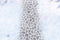 Kate Chemin Neige Sol Blanc Toile de Fond Conçu par Kate Image - Kate Backdrop FR