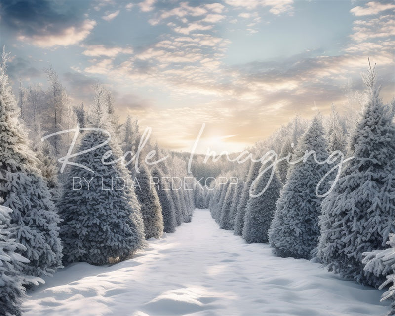 Kate Soleil du matin Neige Forêt Toile de fond conçue par Lidia Redekopp - Kate Backdrop FR