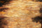 Kate Chemin Sol Jaune Toile de fond pour la photographie - Kate Backdrop FR