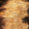 Kate Chemin Sol Jaune Toile de fond pour la photographie - Kate Backdrop FR