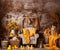 Kate Mur de briques Canard jouet Boho Toile de fond conçu par Emetselch - Kate Backdrop FR