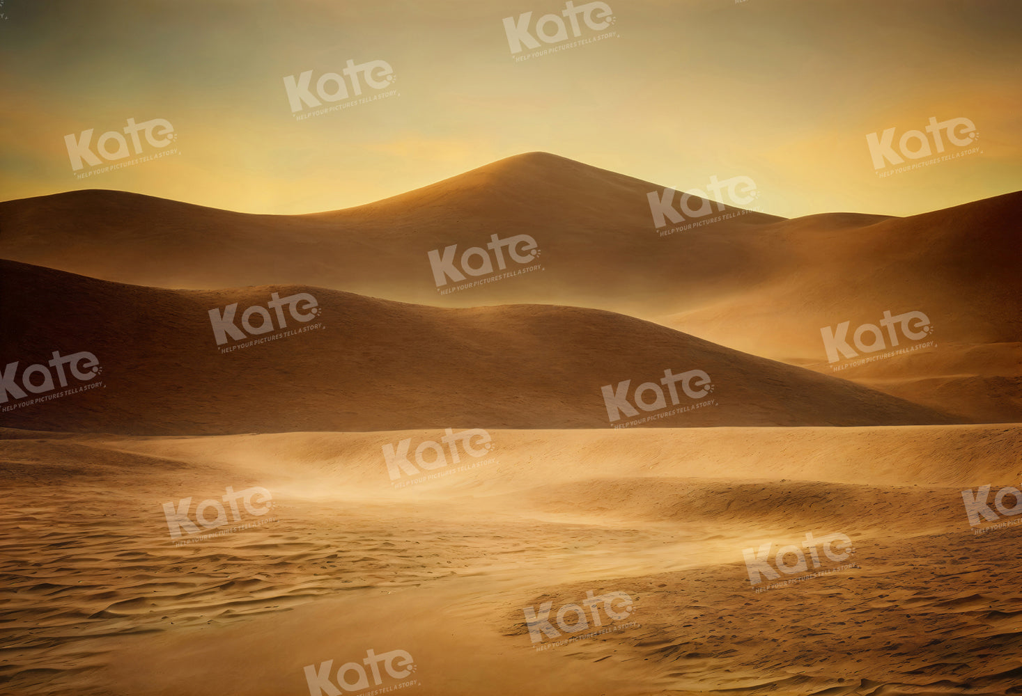 Kate Dune Désert de sable Toile de fond pour la photographie