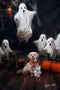 Kate Sinistre Halloween Fantômes Toile de fond Conçu par Patty Robert - Kate Backdrop FR
