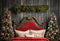 Kate Noël Rouge Tête de lit Toile de fond conçue par Emetselch - Kate Backdrop FR