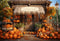 Kate Automne Boutique de citrouilles Toile de fond conçue par Emetselch - Kate Backdrop FR