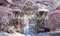 Kate Hiver Portail Arbres Neige Toile de fond conçue par Abbas Studio - Kate Backdrop FR