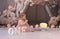 Kate Fleurs Tente Saint Valentin Toile de fond Conçu par Patty Robert - Kate Backdrop FR