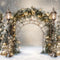 Kate Hiver Noël Arc de Branche Toile de fond conçue par Emetselch - Kate Backdrop FR