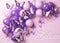 Kate Ballons Papillon Anniversaire Toile de fond conçue par Mini MakeBelieve - Kate Backdrop FR