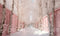 Kate Neige Rue Rose Rangée de Bouleaux Toile de fond conçue par Mini MakeBelieve - Kate Backdrop FR