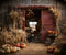 Kate Automne Grange Foins Citrouille Toile de fond pour la photographie - Kate Backdrop FR