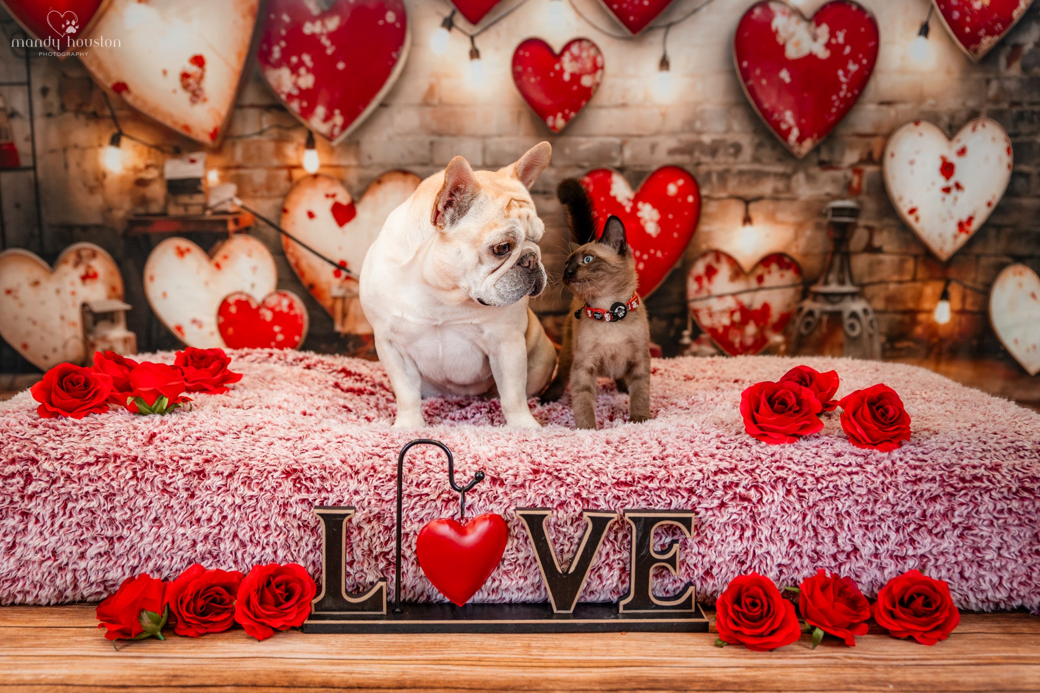 Kate Saint Valentin Lampe rétro Mur Amour Toile de fond conçue par Emetselch - Kate Backdrop FR