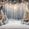 Kate Hiver Forêt Neige Noël Cadeaux Toile de fond pour la photographie - Kate Backdrop FR