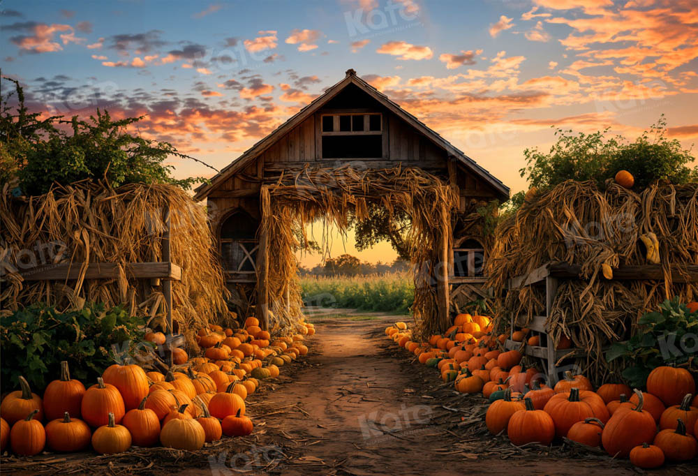 Kate Automne Ferme de citrouilles Porte Toile de fond pour la photographie - Kate Backdrop FR