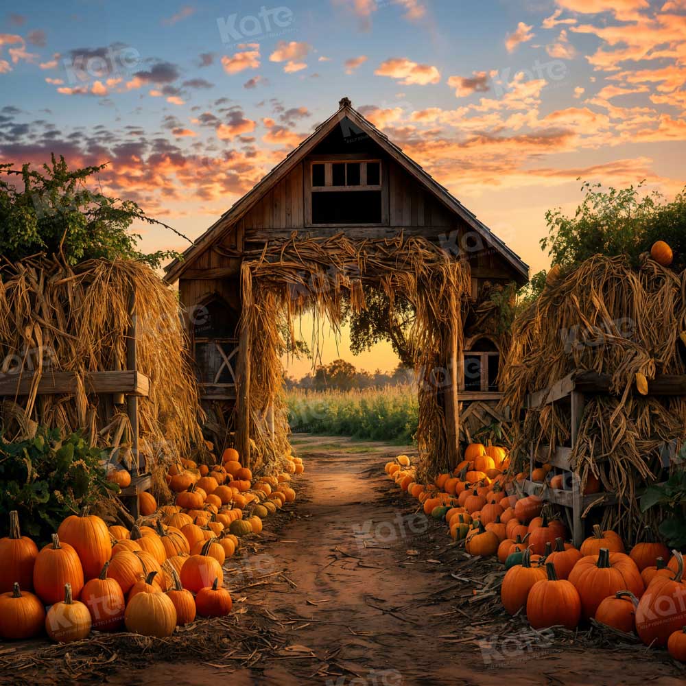 Kate Automne Ferme de citrouilles Porte Toile de fond pour la photographie - Kate Backdrop FR