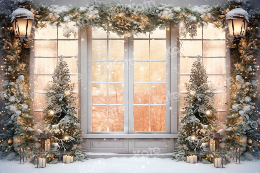 Kate Noël Extérieur Blanc Fenêtre Neige Toile de fond conçue par Chain Photographie