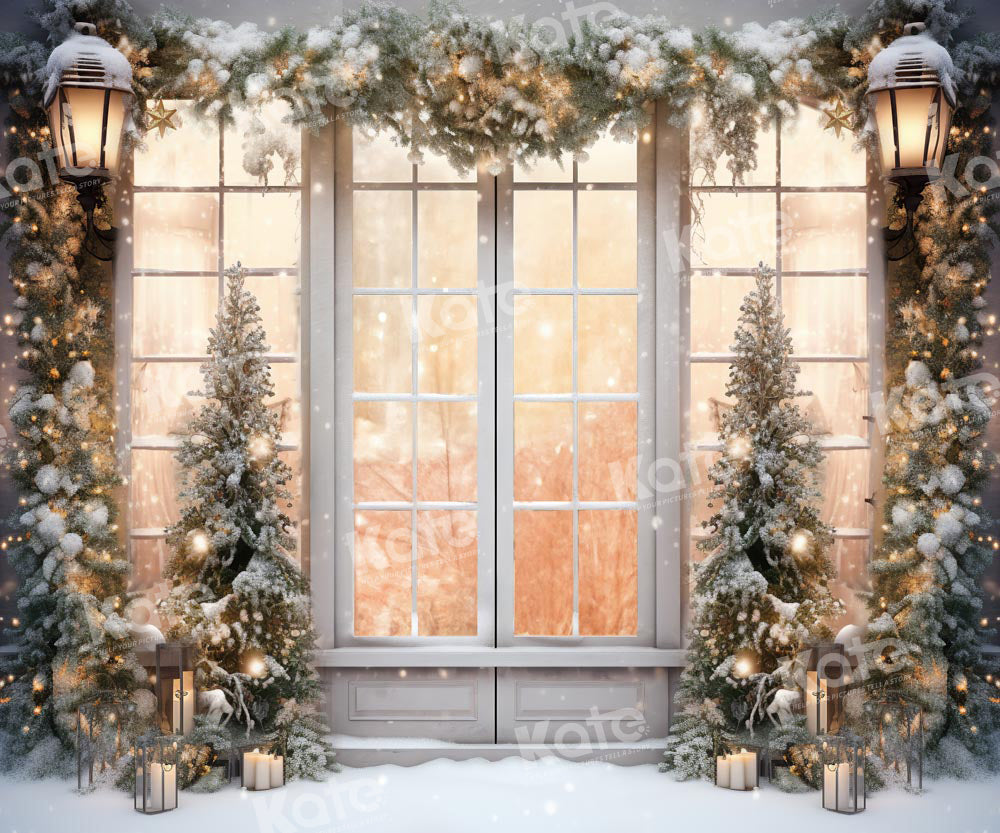 Kate Noël Extérieur Blanc Fenêtre Neige Toile de fond conçue par Chain Photographie