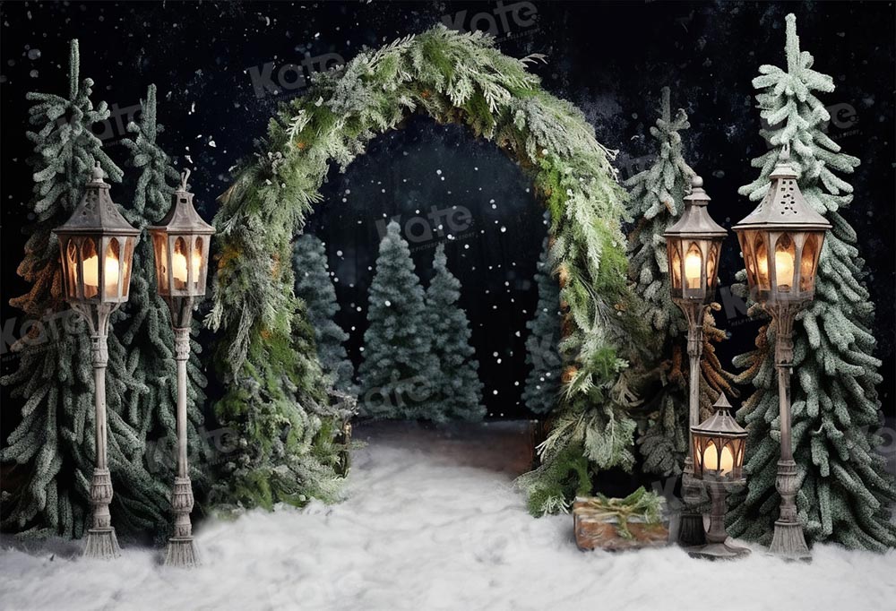Kate Noël Extérieur Arche Arbres Nuit Toile de fond pour la photographie