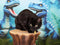Kate Bleu Dinosaure Aventure Enfant Toile de fond conçu par Ashley Paul - Kate Backdrop FR
