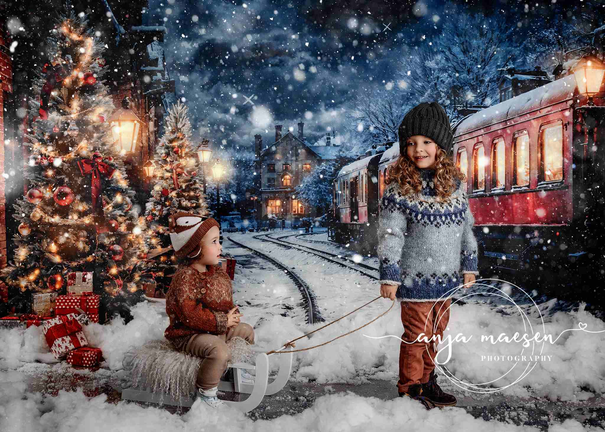Kate Hiver Noël Arbre Train Toile de fond conçue par Emetselch - Kate Backdrop FR