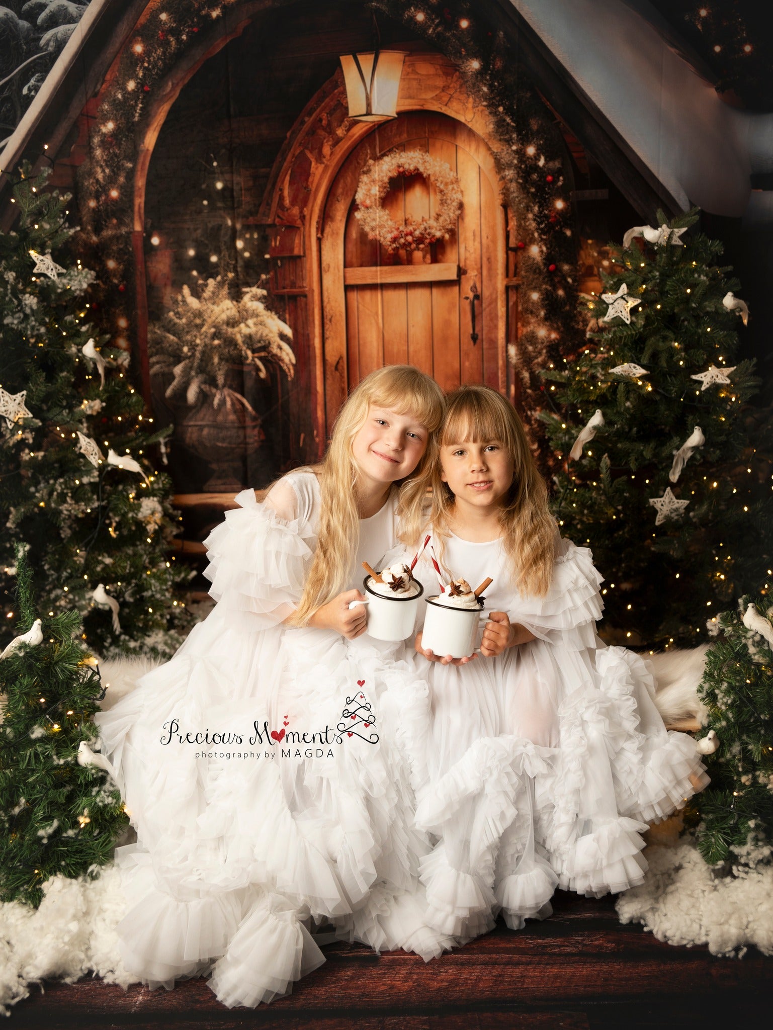 Offres Éclair #4 Kate Noël Maison en bois Neige Toile de fond conçue par Chain Photographie - Kate Backdrop FR