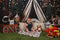 Kate Cake smash Camping Tente Aventure Toile de fond conçue par Chain Photographie - Kate Backdrop FR