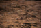Kate Terroir Sol en sable Toile de fond pour la photographie - Kate Backdrop FR