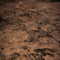 Kate Terroir Sol en sable Toile de fond pour la photographie - Kate Backdrop FR