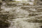 Kate Terroir Herbe Sol Toile de fond pour la photographie - Kate Backdrop FR