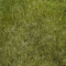 Kate Printemps Herbe Vert Sol Toile de fond conçue par Kate Image - Kate Backdrop FR