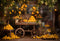 Kate Automne Oranger Jaune Chambre Toile de fond pour la photographie - Kate Backdrop FR