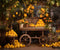 Kate Automne Oranger Jaune Chambre Toile de fond pour la photographie - Kate Backdrop FR