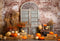 Kate Automne Porte Citrouilles Mur de briques Toile de fond conçue par Emetselch - Kate Backdrop FR